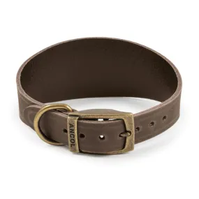 Ancol Heritage Greyhound Collar