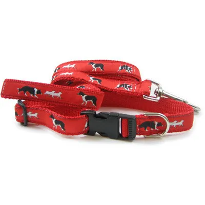Border Collie Breed Dog Collar or Leash