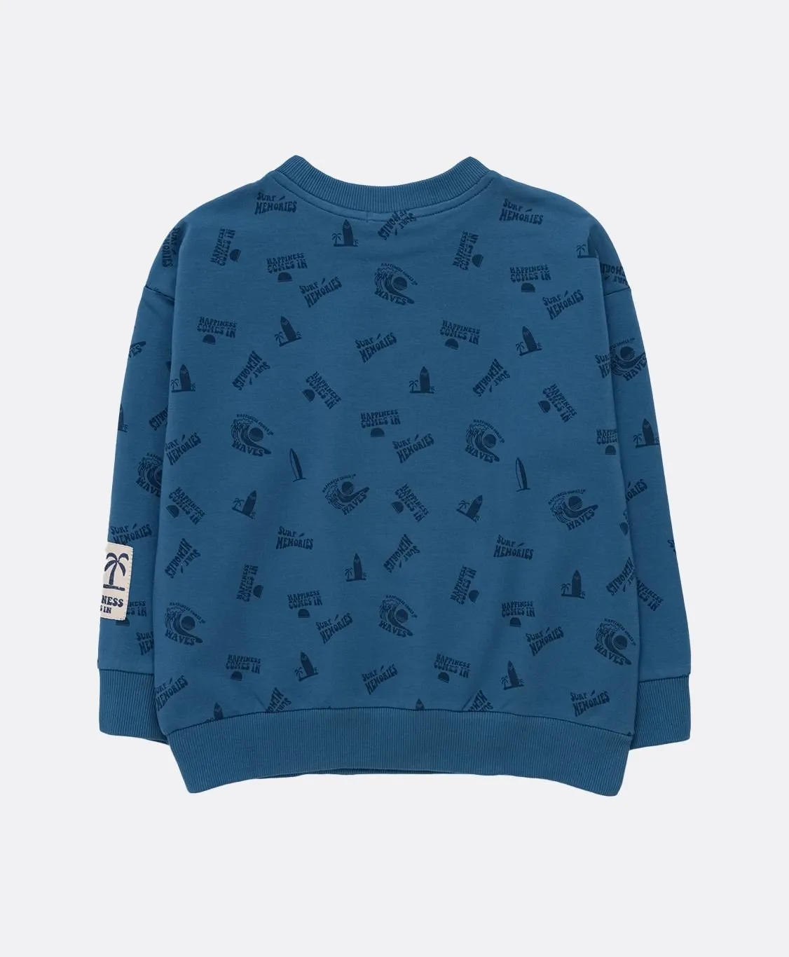 Boys Blue Printed Sweatshirt