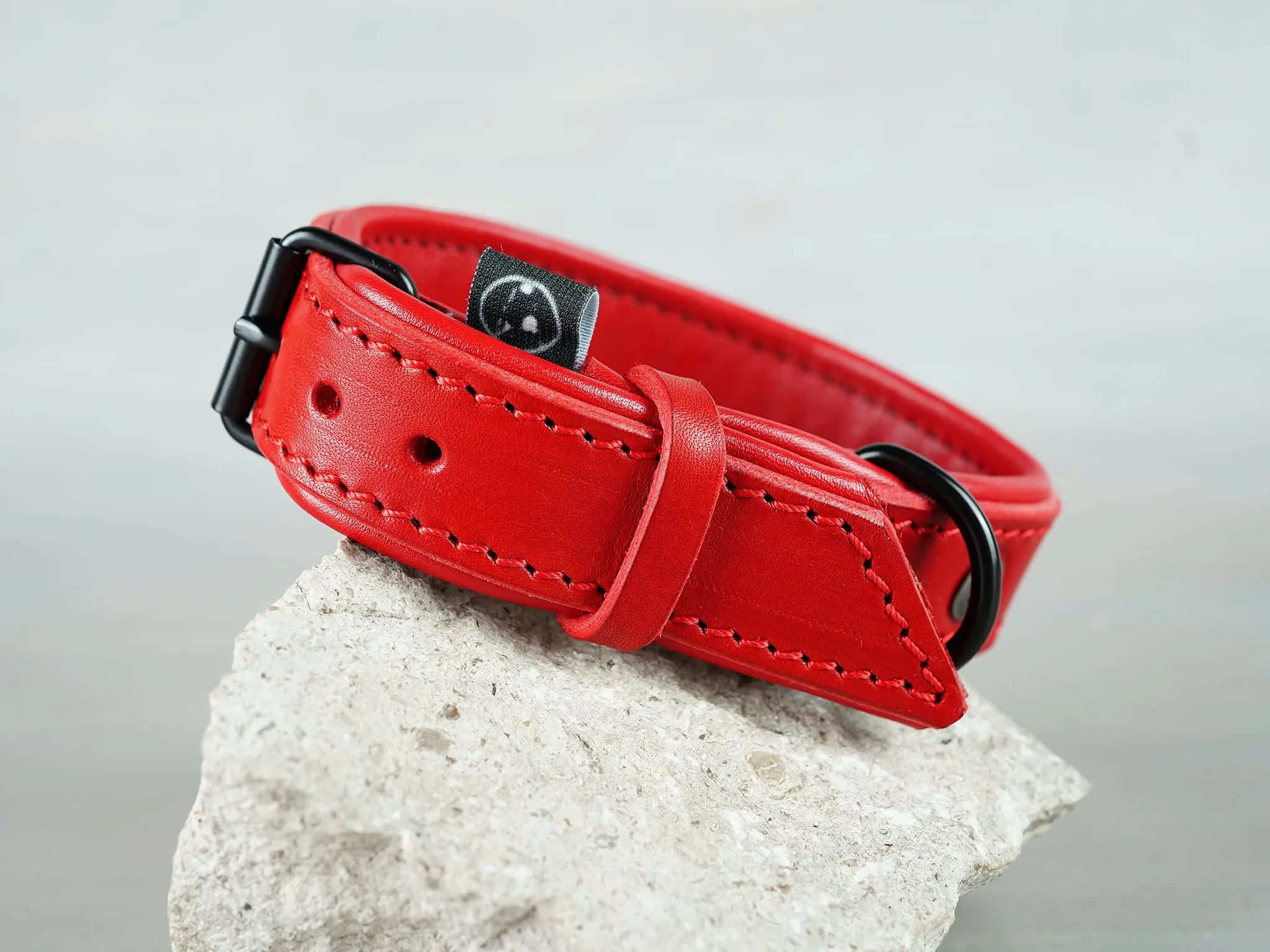 Colorful Leather Dog Collar with Soft Padding