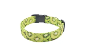 Green Kiwi Fruit Dog Collar