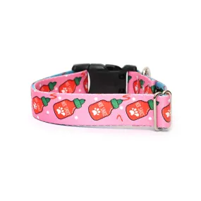 Hot Sauce Dog Collar