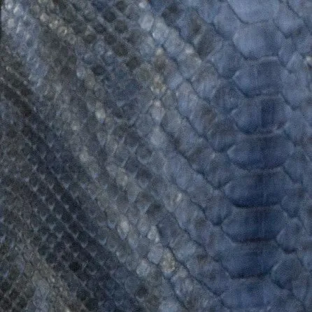 Python/Leather Jacket