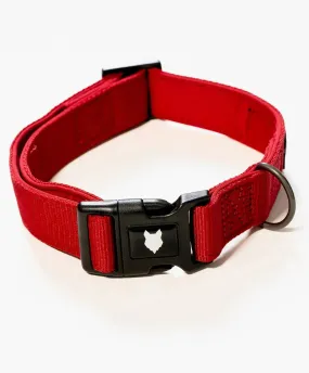 Ragnar Dog Collar