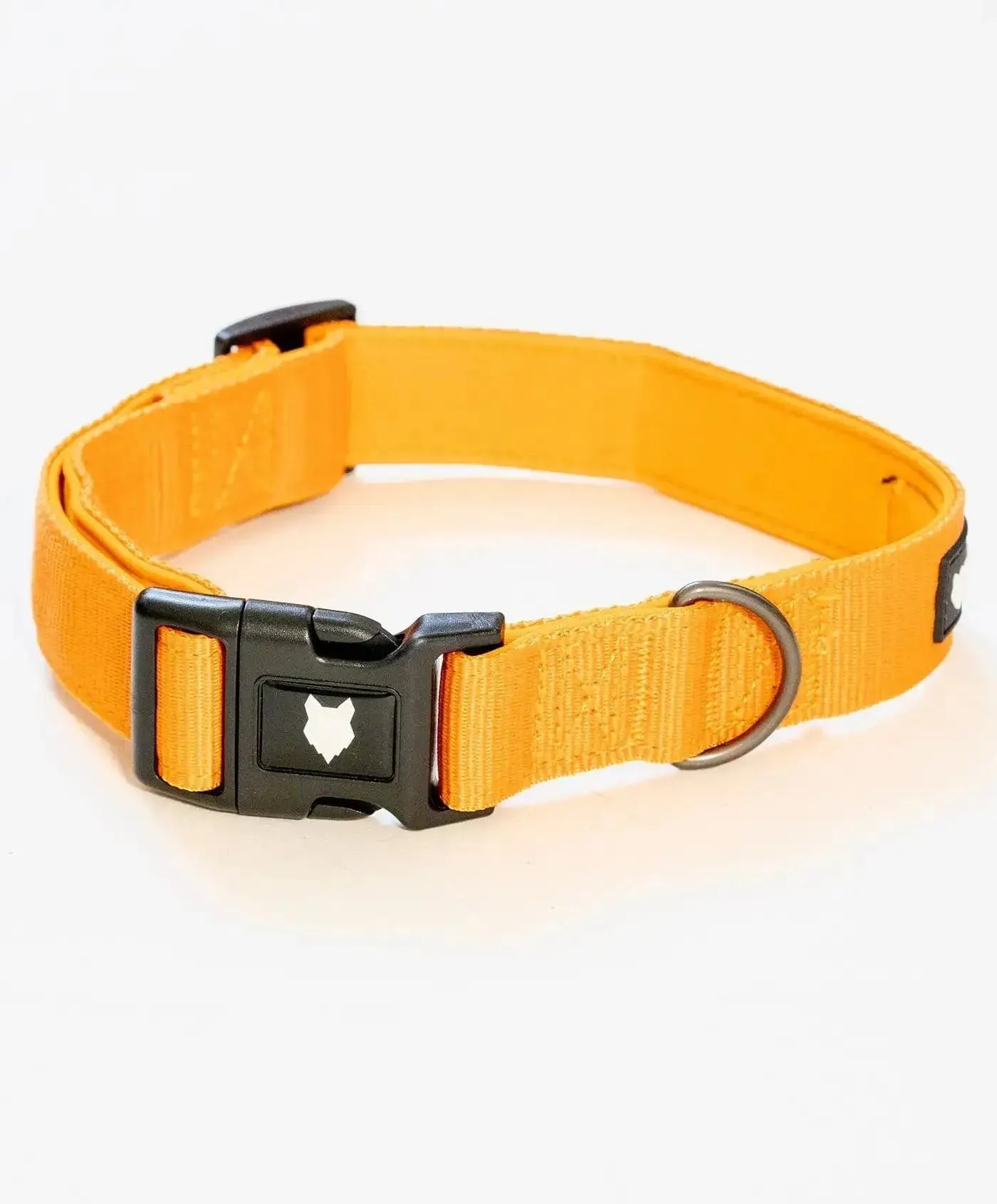 Ragnar Dog Collar