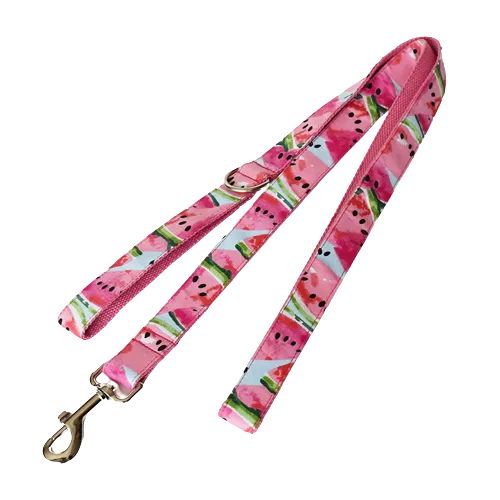 Summer Watermelon Collar Leash Bowtie