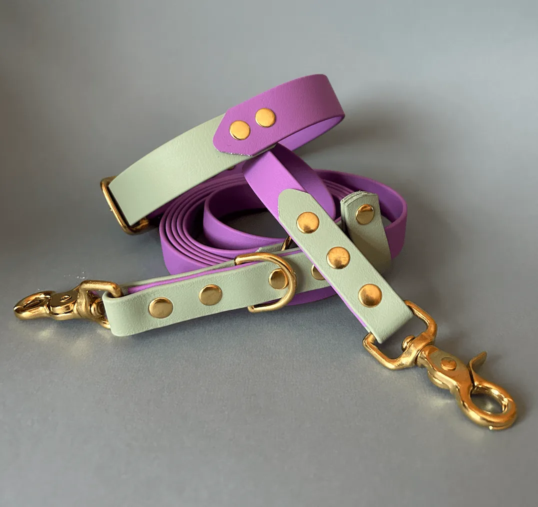 Two Toned Collar (rivet connection)